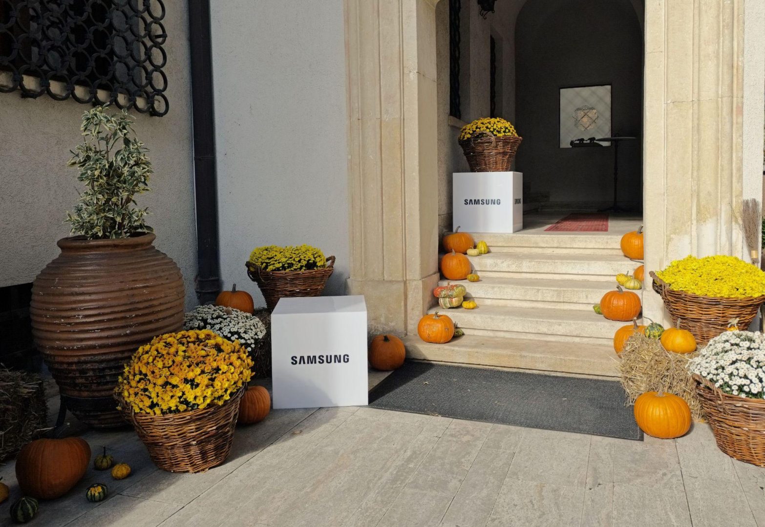 EkoGroup Vila – spațiu premium pentru workshop-uri și evenimente de afaceri 6 EkoGroup Vila – spațiu premium pentru workshop-uri și evenimente de afaceri